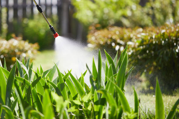 24/7 Emergency Cockroach Control experts in Buffalo, TX